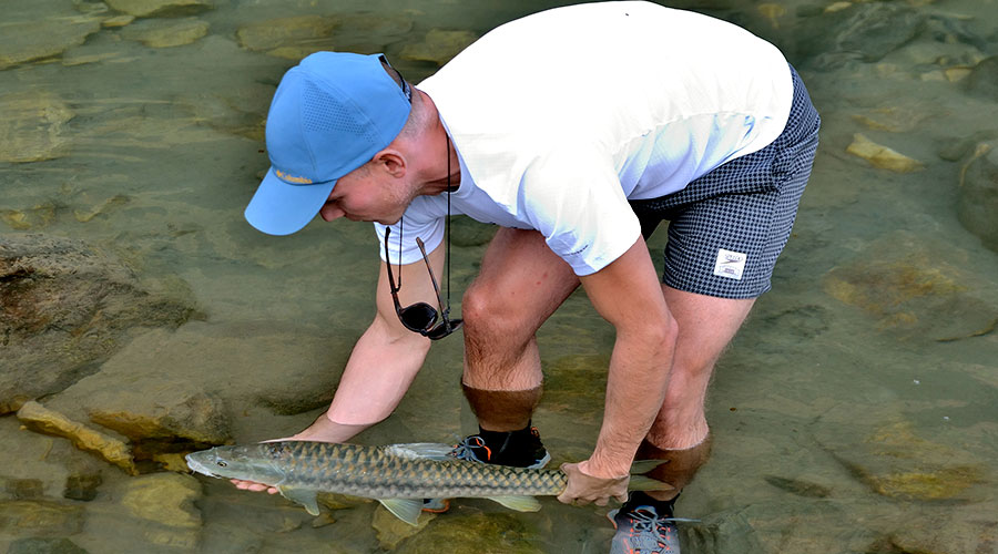 Balephi Fishing