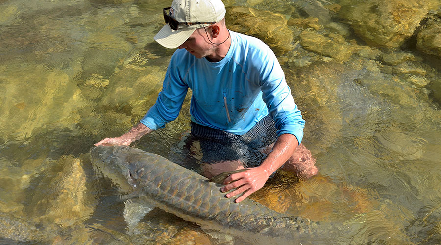 Maibei and Tribeni River Fishing